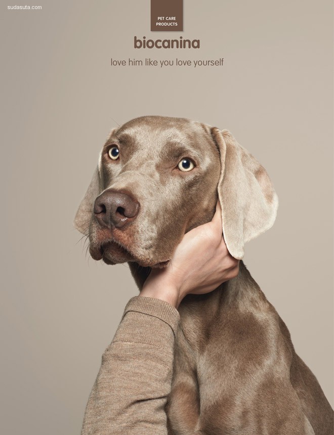40+ 来自世界各地的最佳动物广告创意设计欣赏