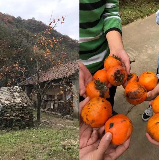 秦岭团建，为云和聚力 ——云和数据西安中心